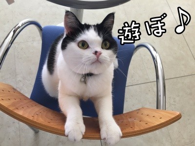 珠若415
