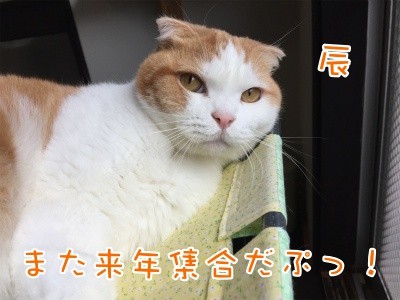 辰85