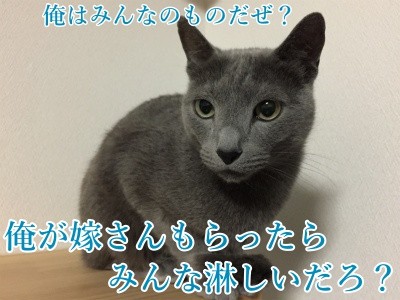 京134