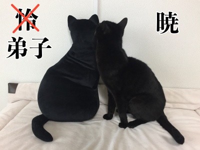 暁58