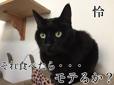 怜15