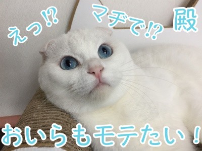 殿263
