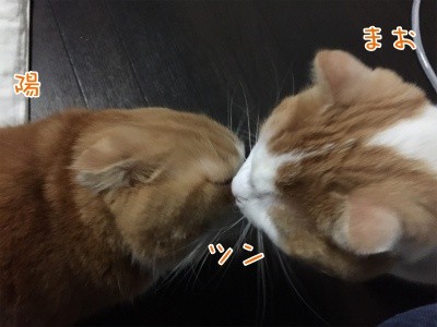 みんな444
