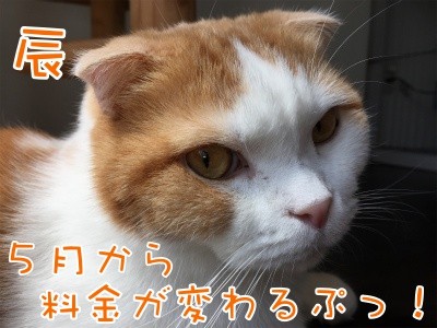 辰229