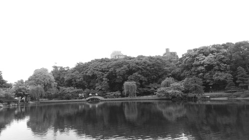 DSC_1392