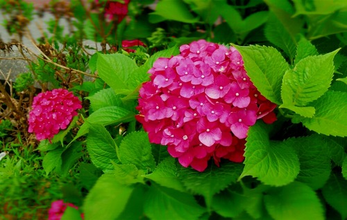 IMG_20160605_170058