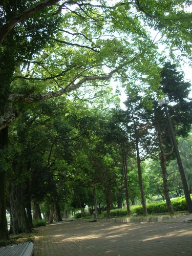 DSCN1412