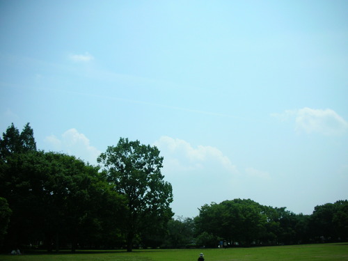 DSCN1410
