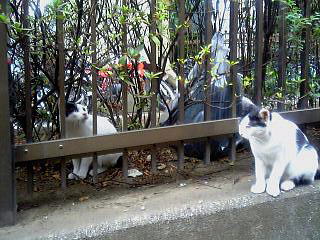 誰が誰やら・・・