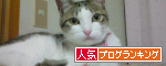 br_decobanner_20090822002100