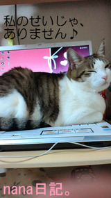 BlogPaint