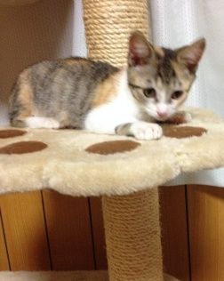 あんタワー