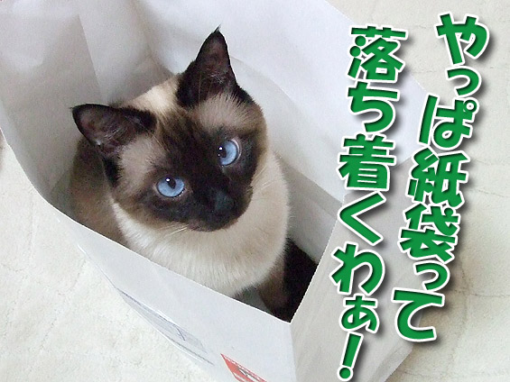 2008061809