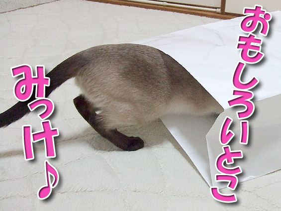 2008061803