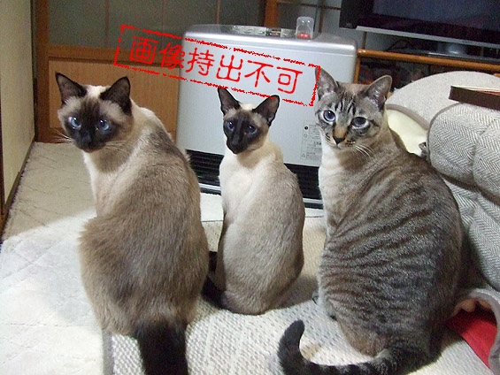 2008061810