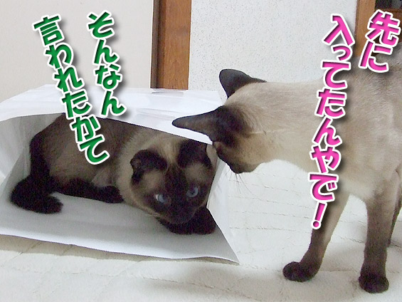 2008061807