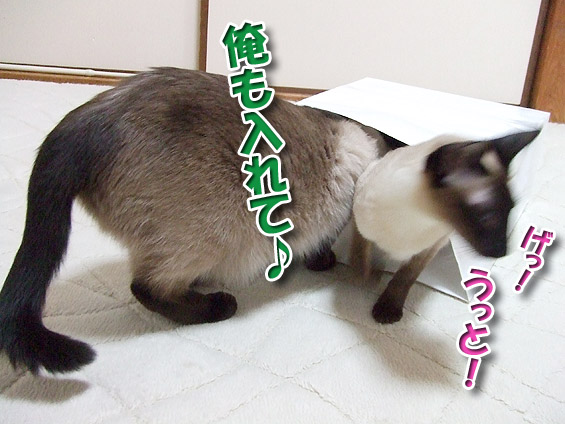 2008061805