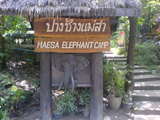 Maesa Elephant Camp