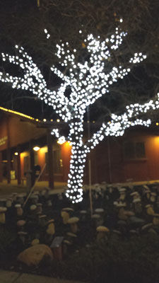 Yountville_2013xmas01