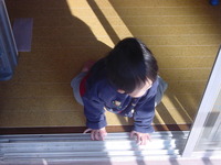 ひなたぼっこ