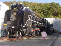 D51