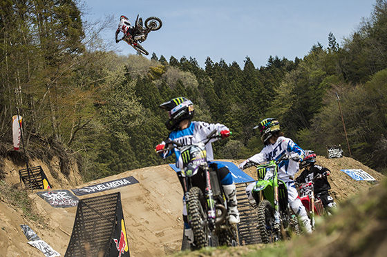 whip