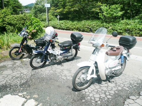 P1050931