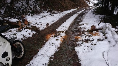 DSC_0591