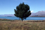 cut_pk27