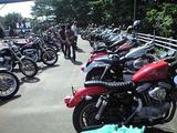 077440e2.jpg