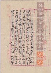 teboriinshi20100829