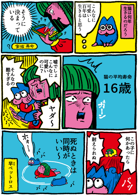 猫9話「原田、寿命を調べる」