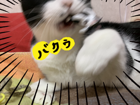 B9ABF831-DF91-4F40-A917-E77C012A5649