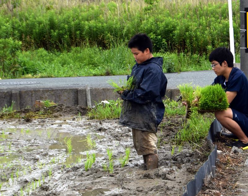 2018田植え青少年健全育成4