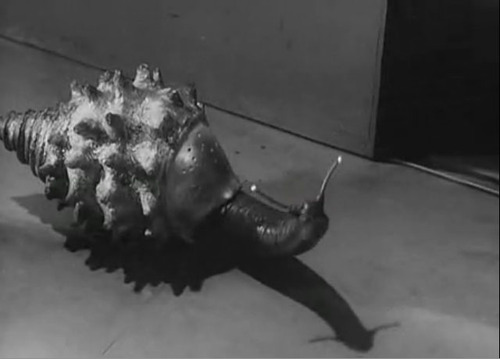 M1号　貝獣ゴーガ ゴーガ of ウルトラ怪獣.com