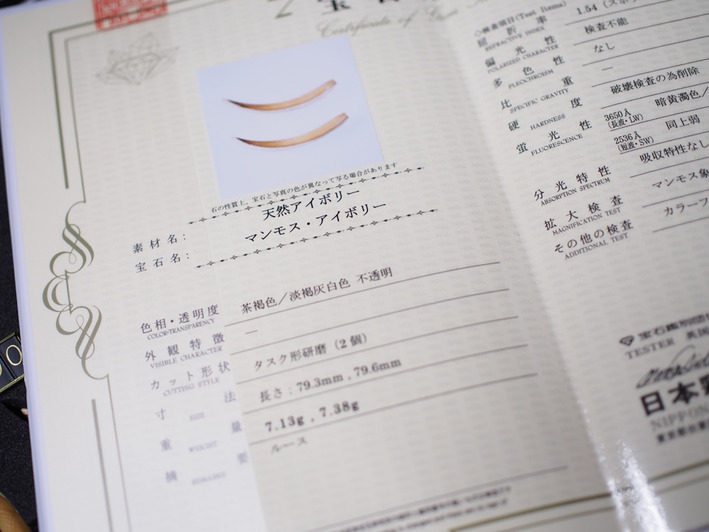 マンモスの牙の鑑定書 (10)