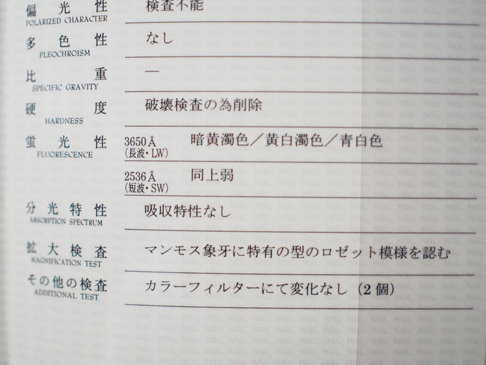 マンモスの牙の鑑定書 (11)