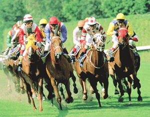 ハッピーバレー競馬場2