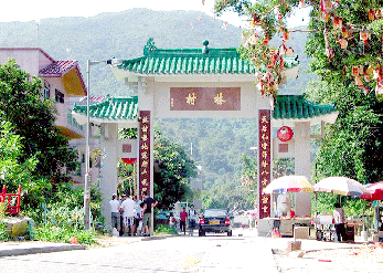 大埔林村_門