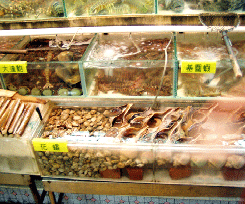 鯉魚門_魚介