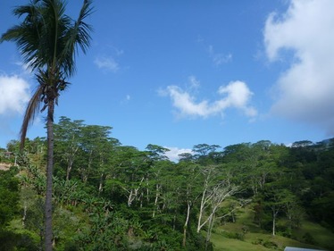 P1020312_R