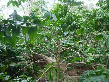 P1020314_R