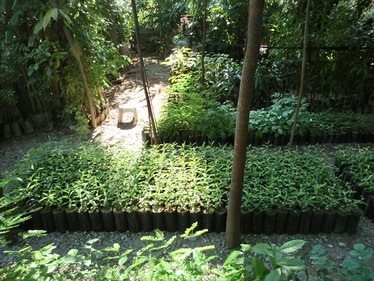 CIMG2097_R