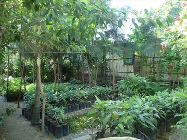 CIMG2095_R