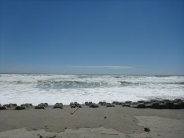 P1030637_R
