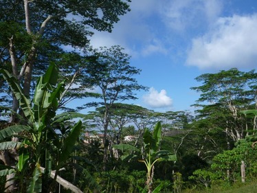 P1020321_R