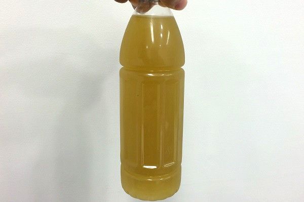 交番に尿入りペットボトル置いた無職男が逮捕 動機が意外だった そこからブログ