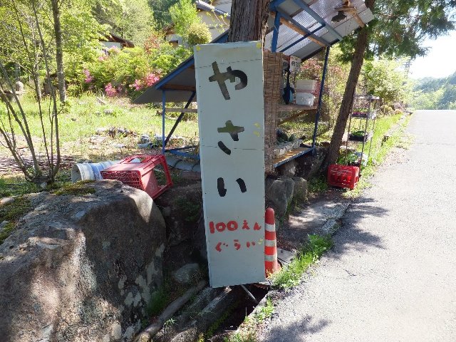 DSCF5166