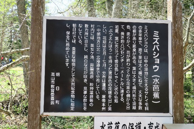 20180428130420