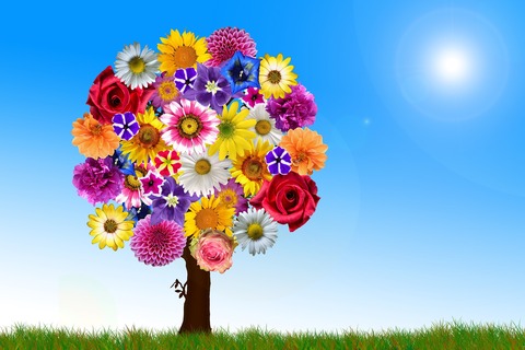 flowers-2731320_1920